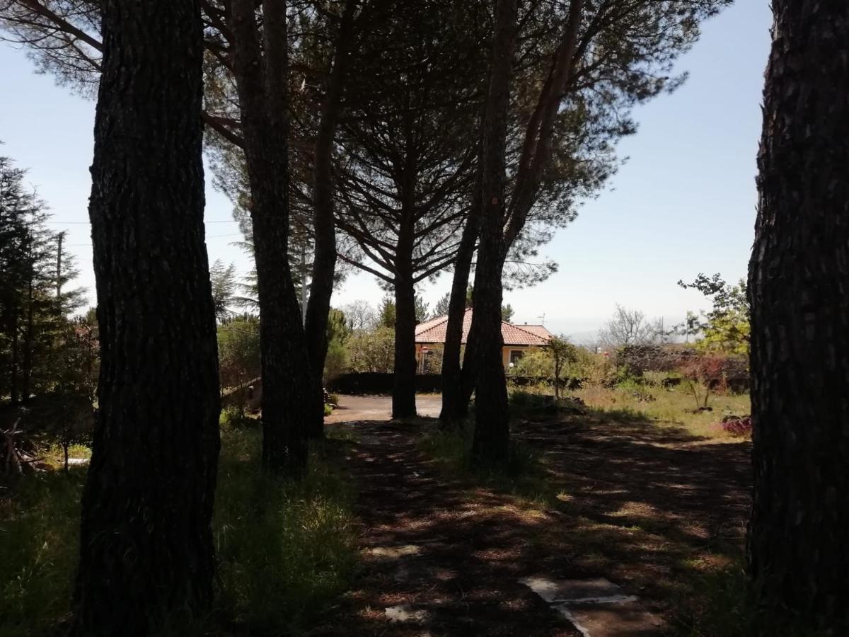 Etna Country Home 니콜로시 외부 사진