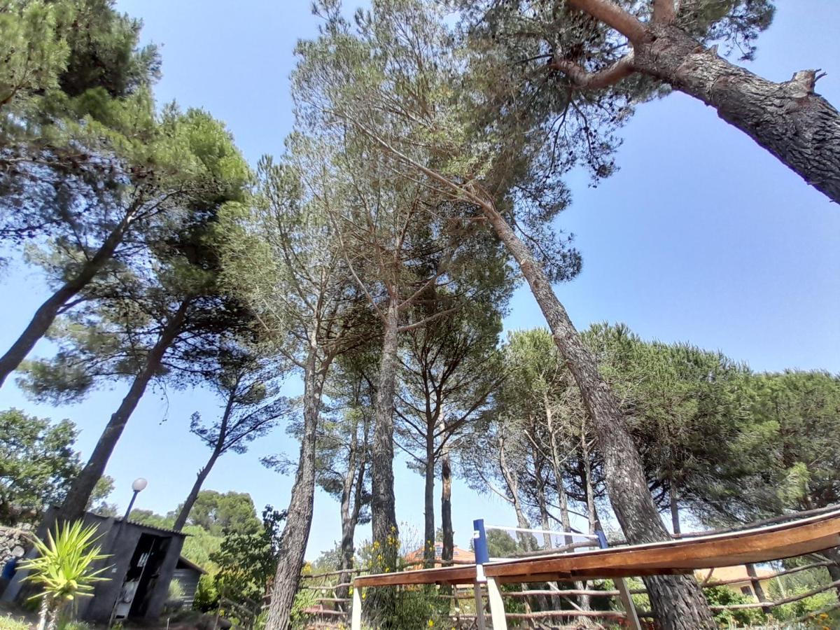 Etna Country Home 니콜로시 외부 사진